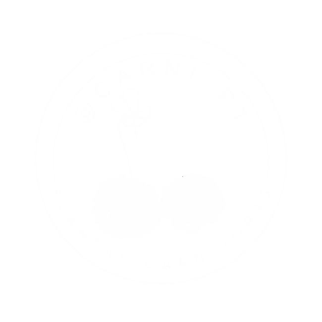 CARNI PT