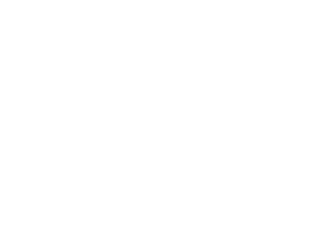Dream4Print 3D