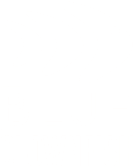 BLUE CLOWNFISH
