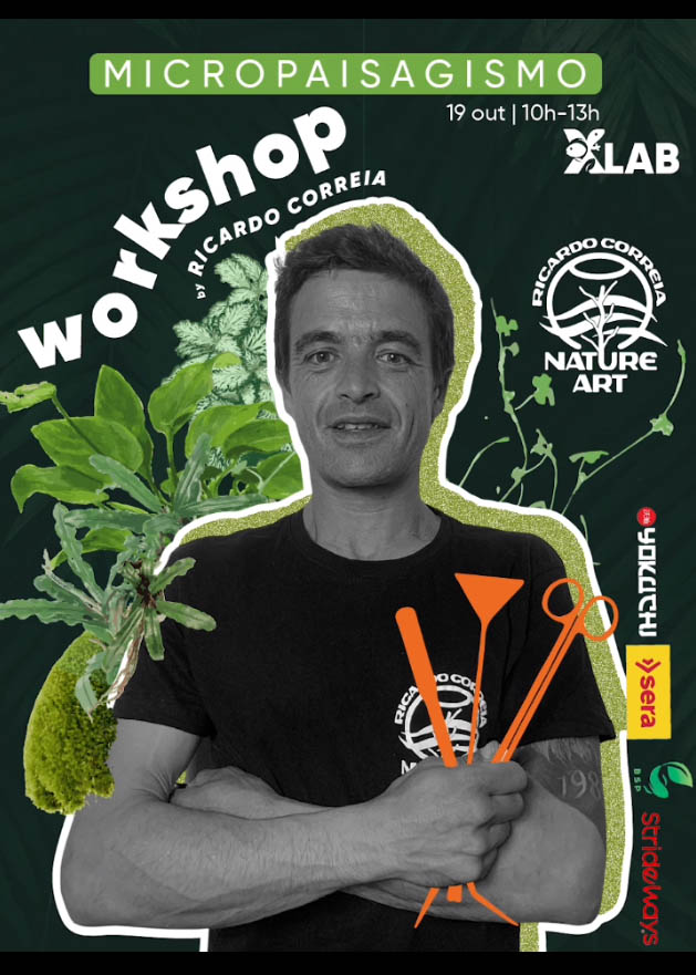 Micropaisagismo - Módulo Iniciante