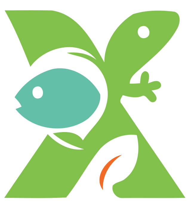 XOTIKA